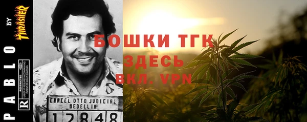 дмт Богданович