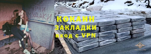 дмт Богданович