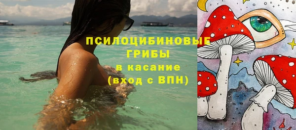 дмт Богданович