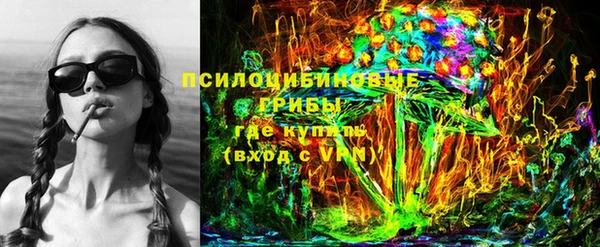 дмт Богданович