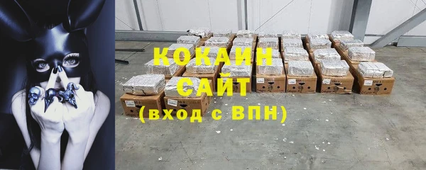 дмт Богданович