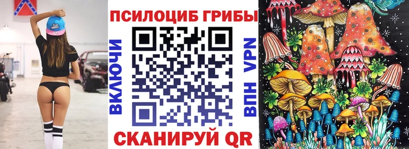где найти наркотики  Мариинский Посад  Галлюциногенные грибы MAGIC MUSHROOMS 